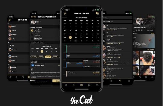 theCut platform