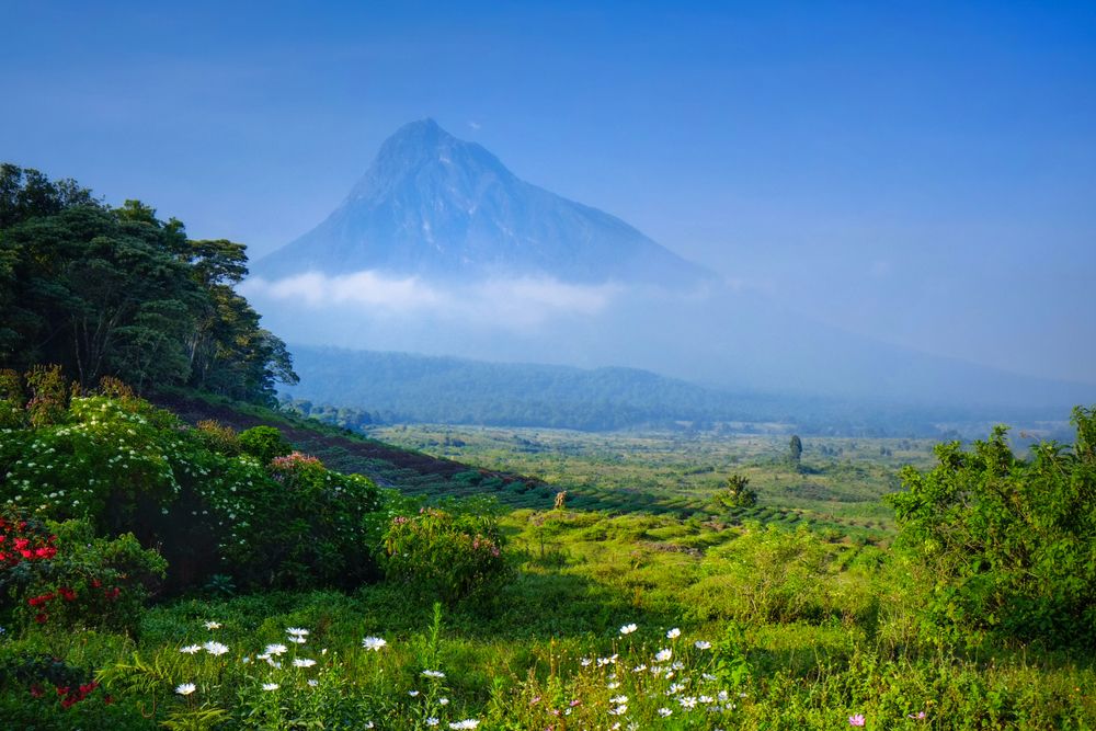 Virunga National Park, Democratic Republic of Congo