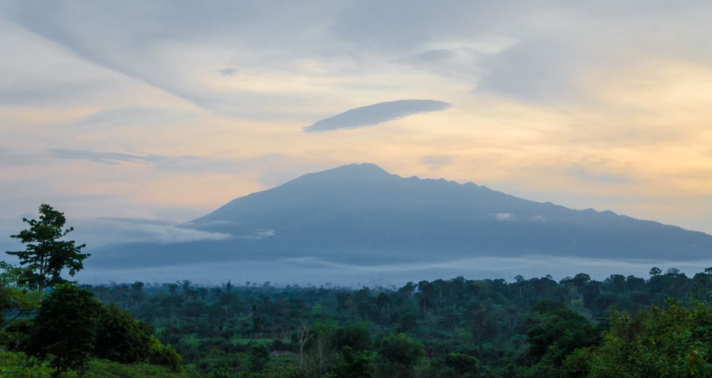 cameroon countryside