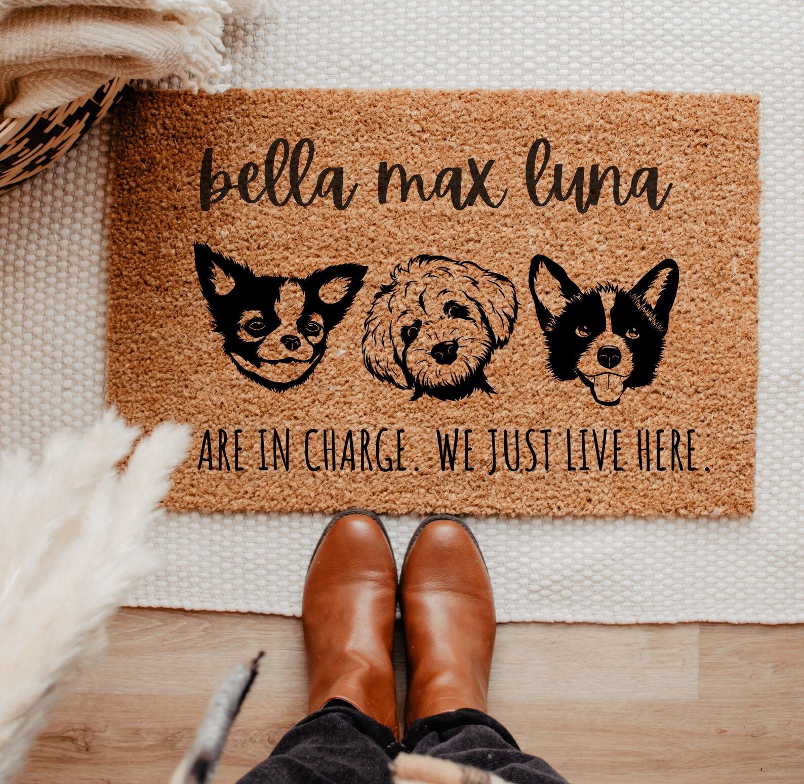 Pet Doormat