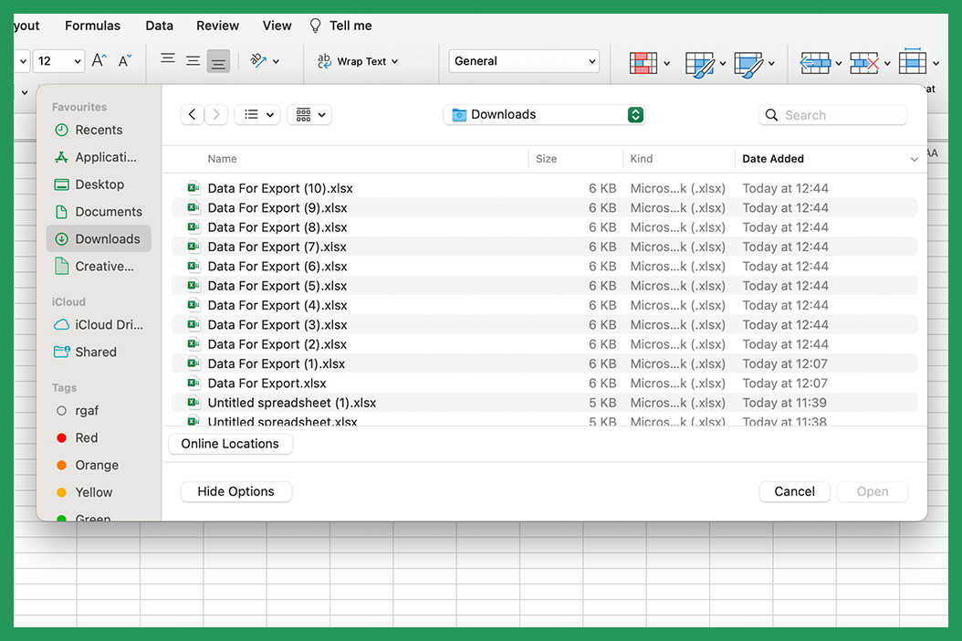 Opening Exported Data In Excel