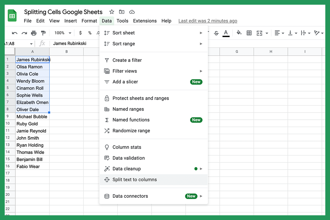 Split Text To Columns selection