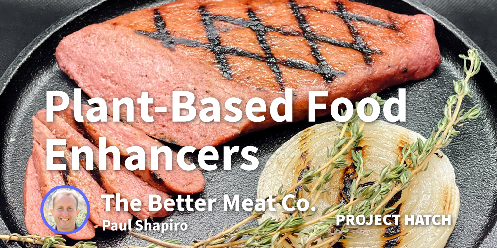 Bringing Meat-Like, Animal-Free Protein Products On The Market