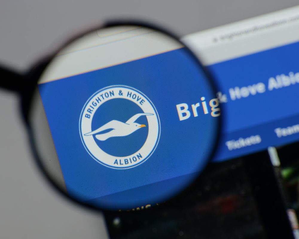 Close-up of Brighton & Hove Albion Logo